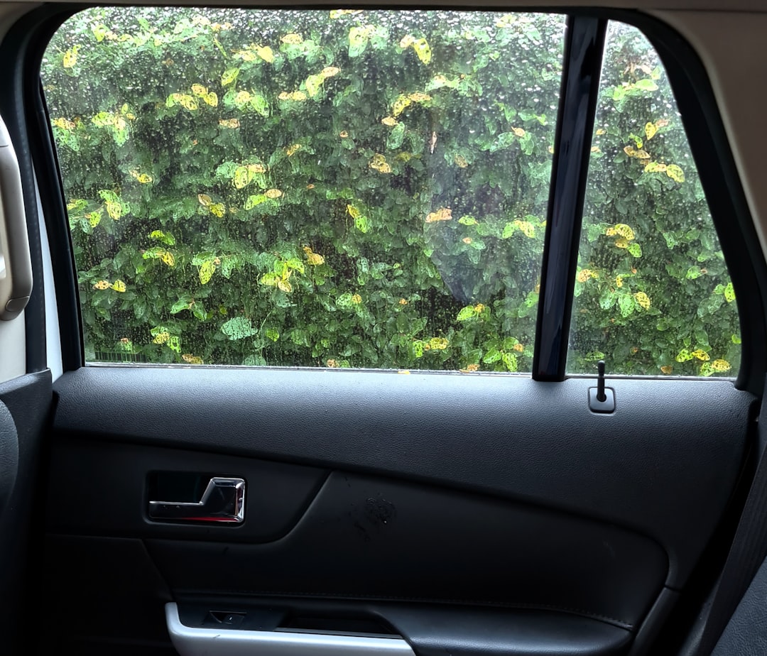 Photo Car Window Fixed