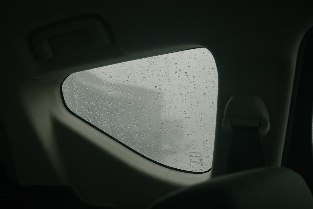 Photo Hail-Damaged Windshield