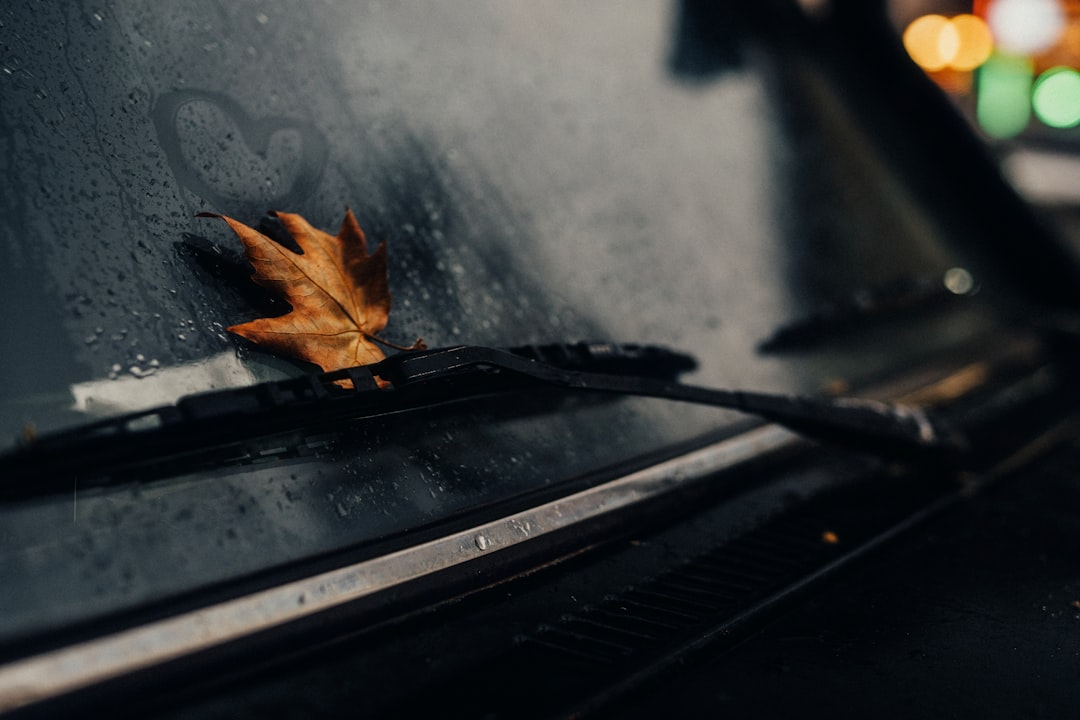 Photo Windshield Damage