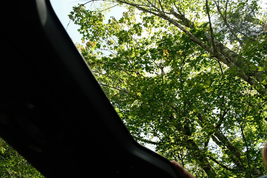 Photo Car Window Wont Go Up