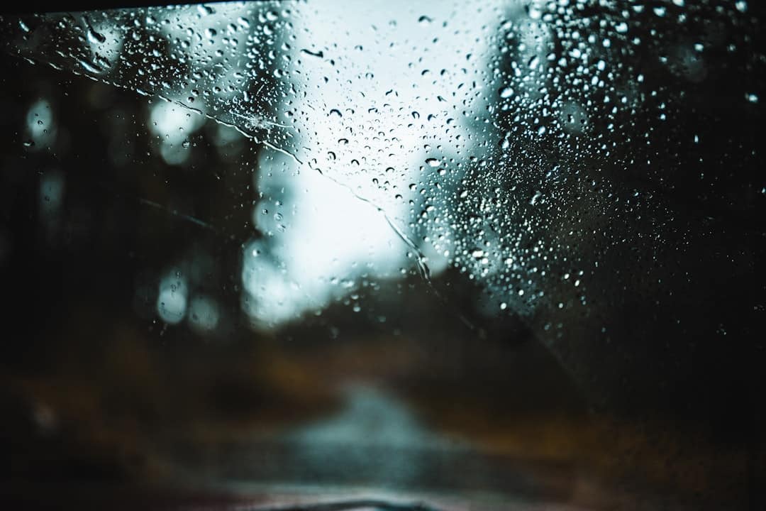Photo Windshields