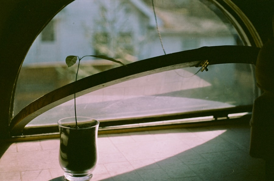 Photo Auto Glass Deductible