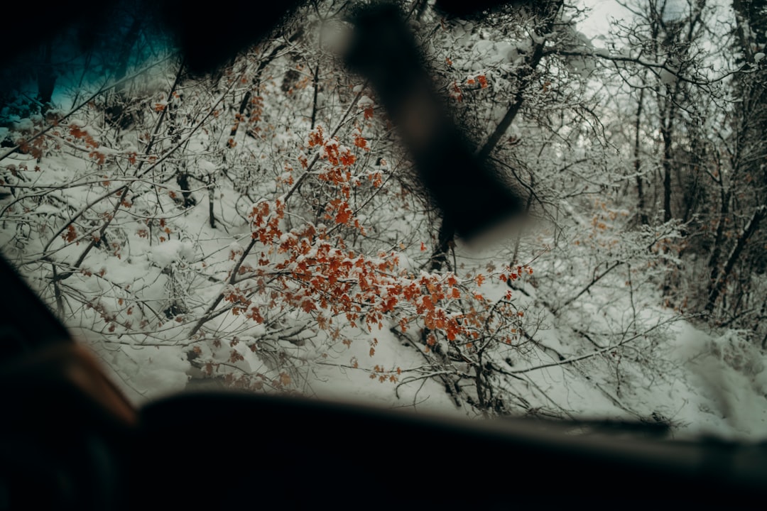 Photo Windshield Cracks