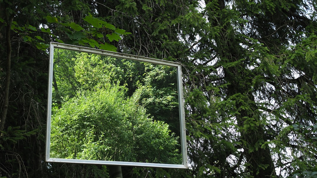 Photo Side View Mirror Glass