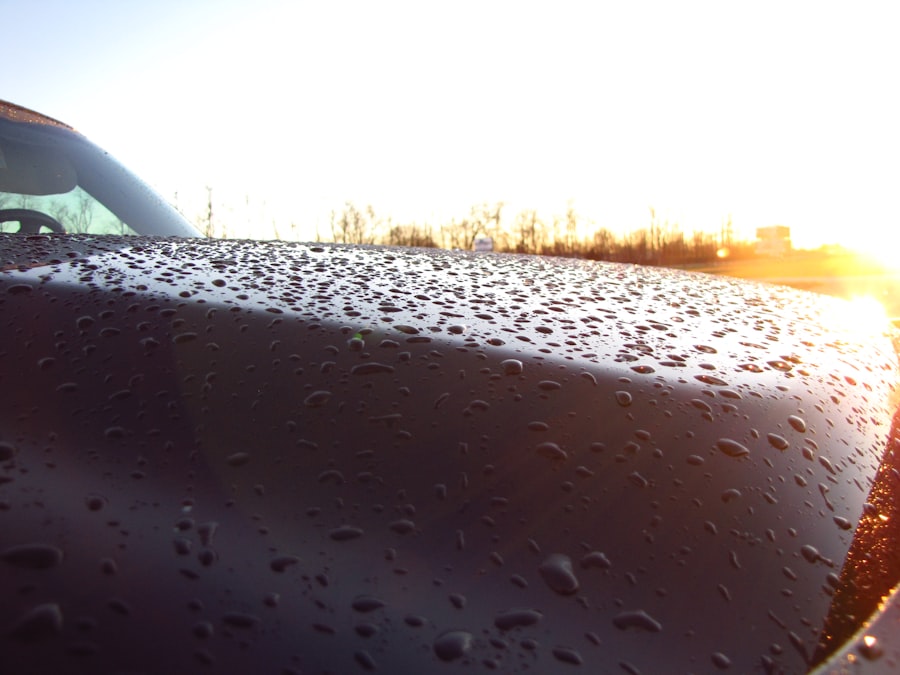 windshield coverage