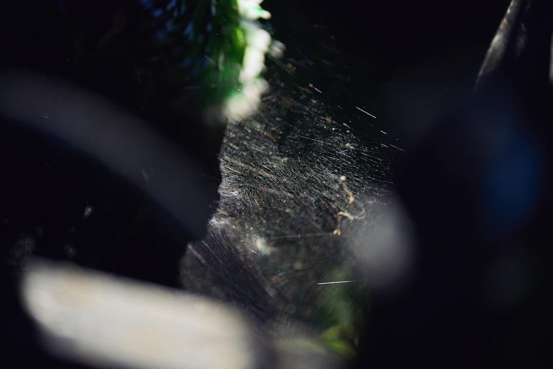 Photo Windshield Damage