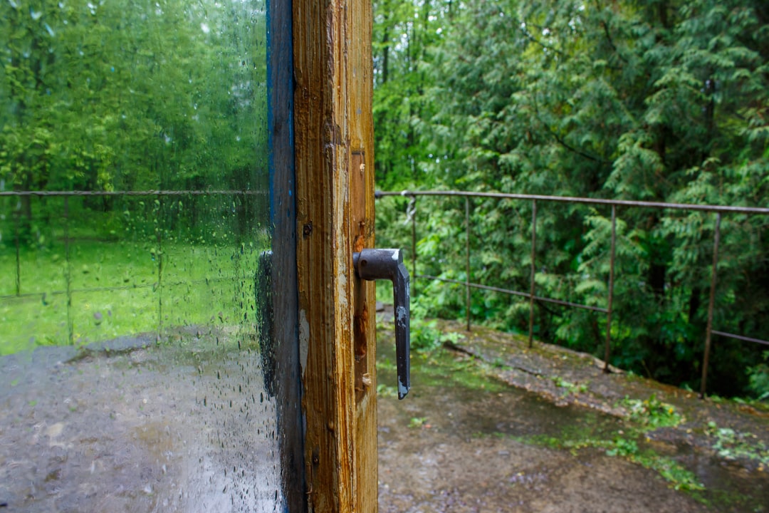 Photo door glass replacement