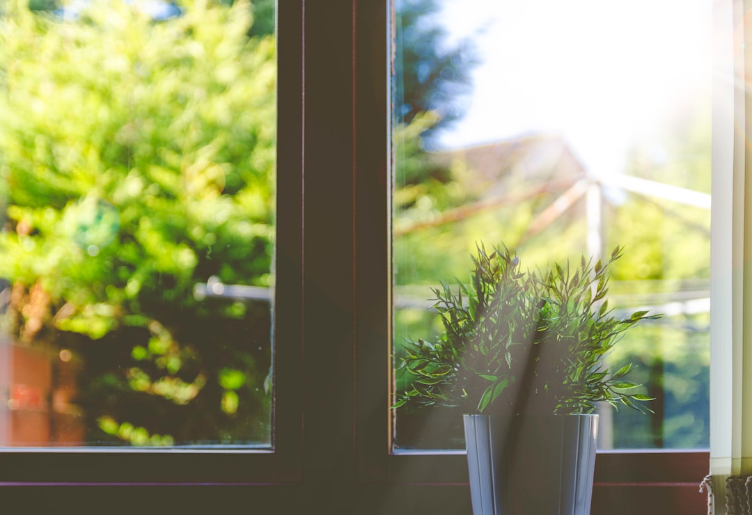 Photo window replacement