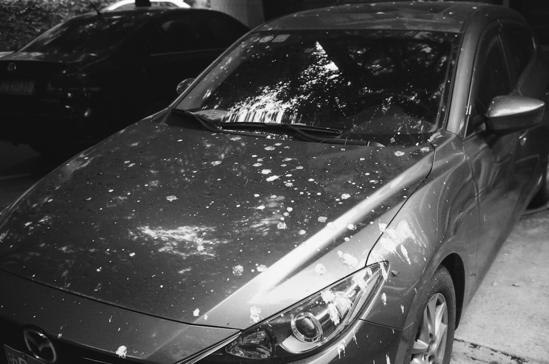 Photo hail damage auto glass replacement