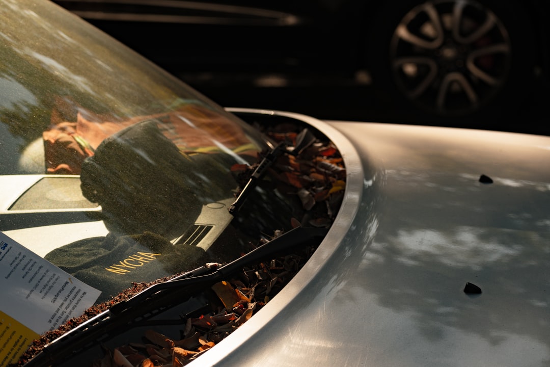 Photo Windshield Replacement