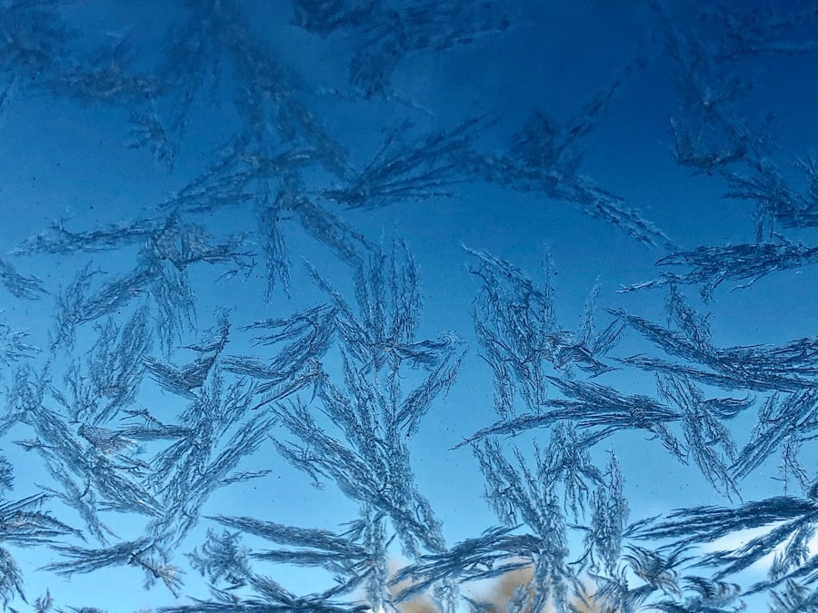 Winter Windshield Damage